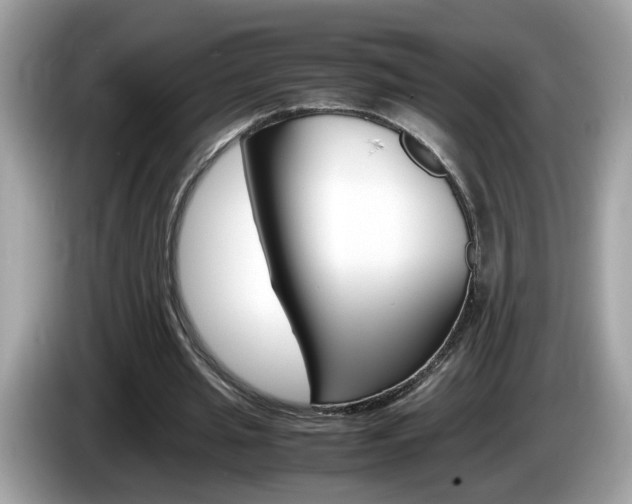 X0000086240437200703291008