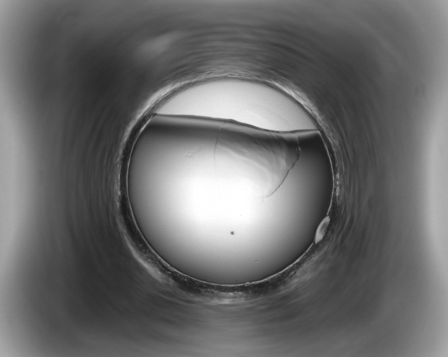 X0000086240438200703291008