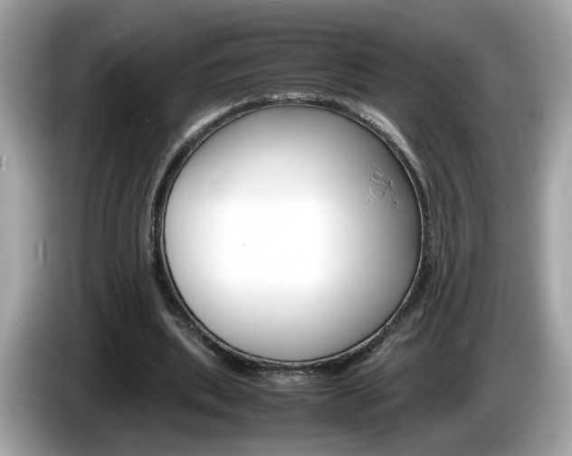 X0000086240439200703291008