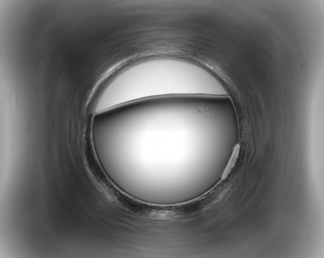 X0000086240440200703291008