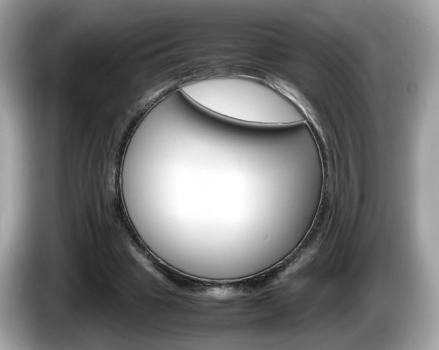 X0000086240441200703291008