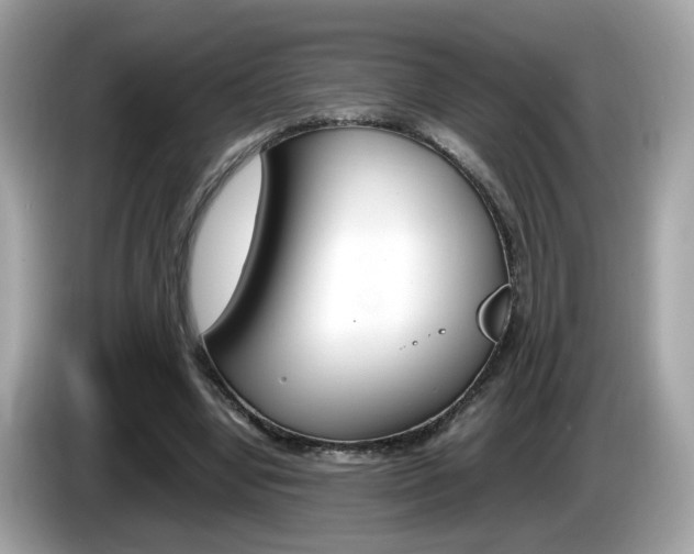 X0000086240442200703291008