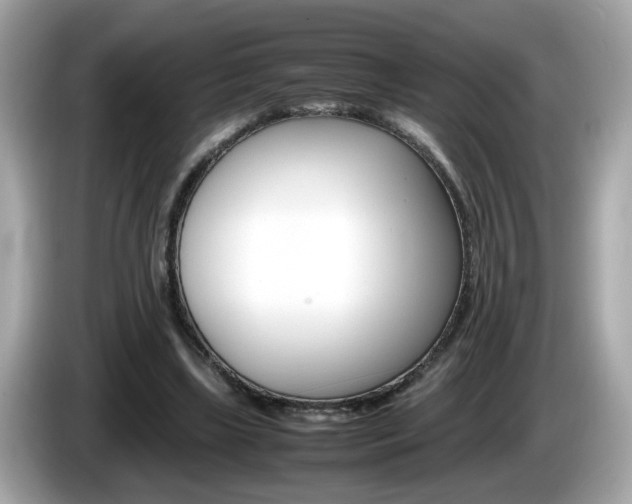 X0000086240443200703291008