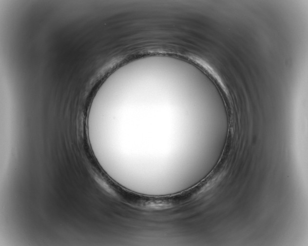 X0000086240445200703291008