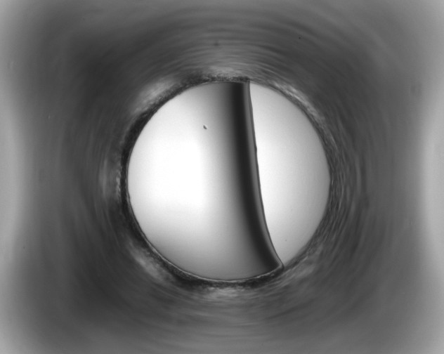 X0000086240446200703291008