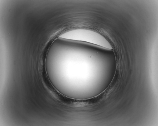 X0000086240448200703291008
