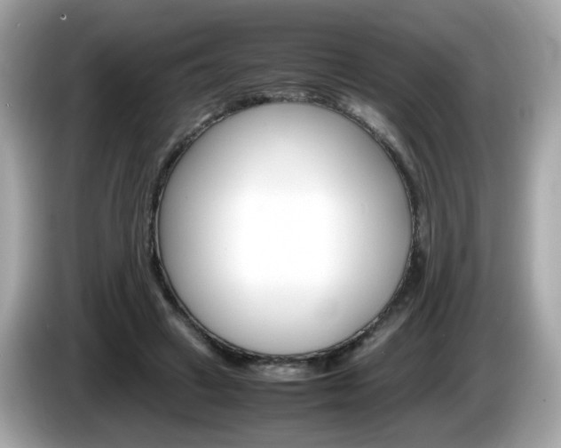 X0000086240449200703291008