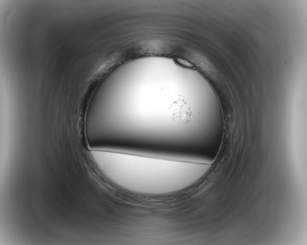 X0000086240450200703291008