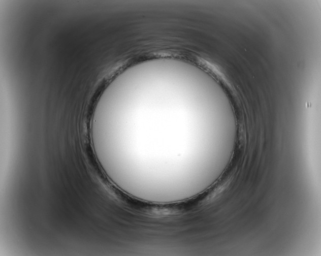 X0000086240453200703291008