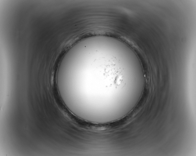 X0000086240454200703291008