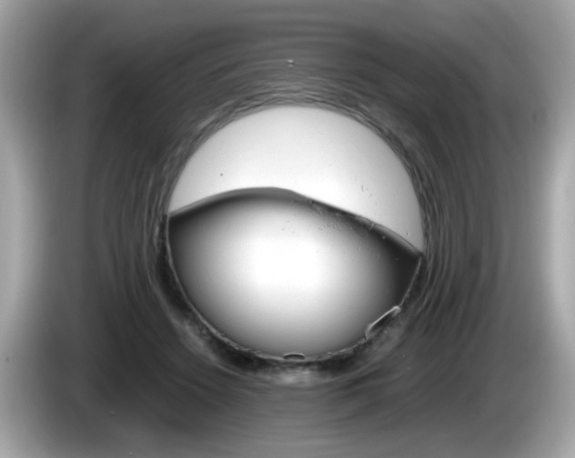 X0000086240456200703291009