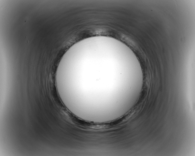 X0000086240461200703291009