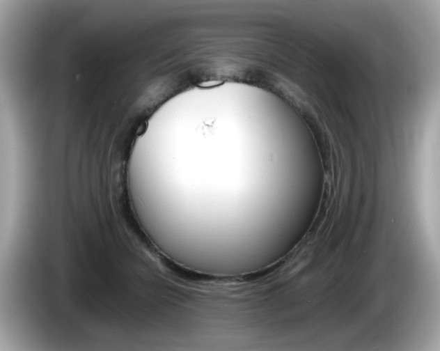 X0000086240462200703291009