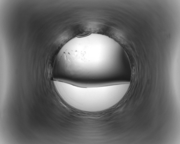 X0000086240474200703291009