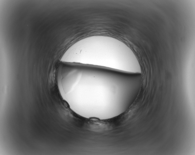 X0000086240475200703291009