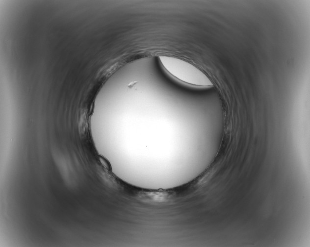X0000086240478200703291009