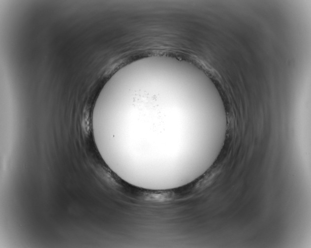 X0000086240479200703291009