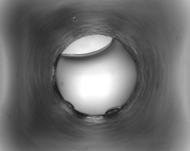 X0000086240480200703291009