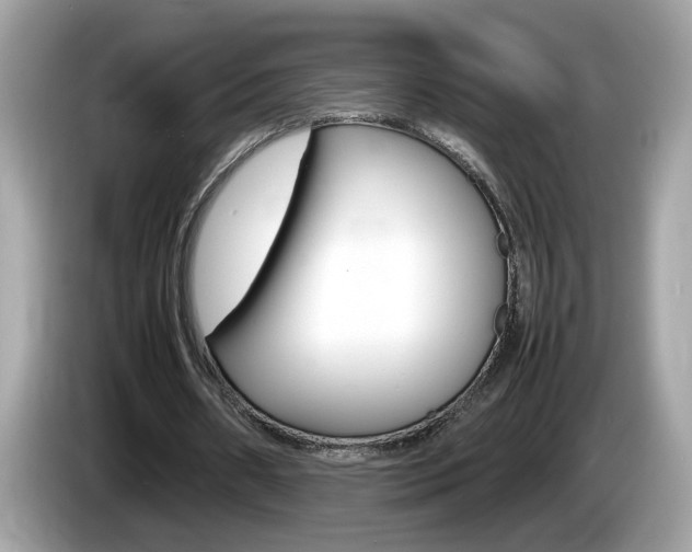 X0000086240482200703291008