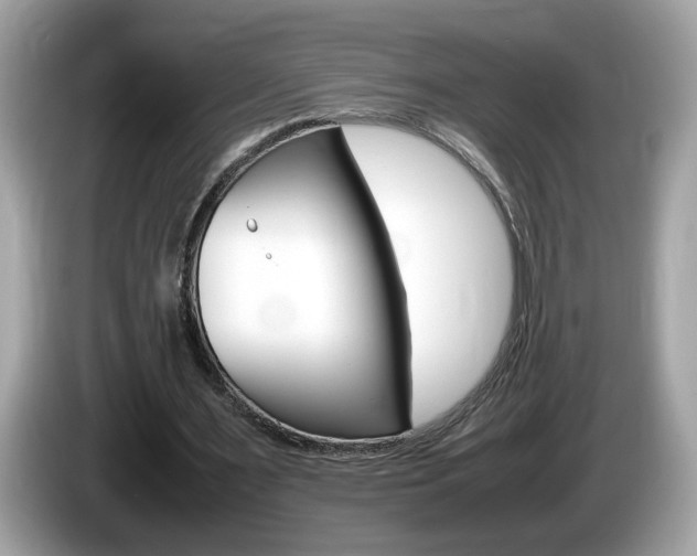 X0000086240483200703291008