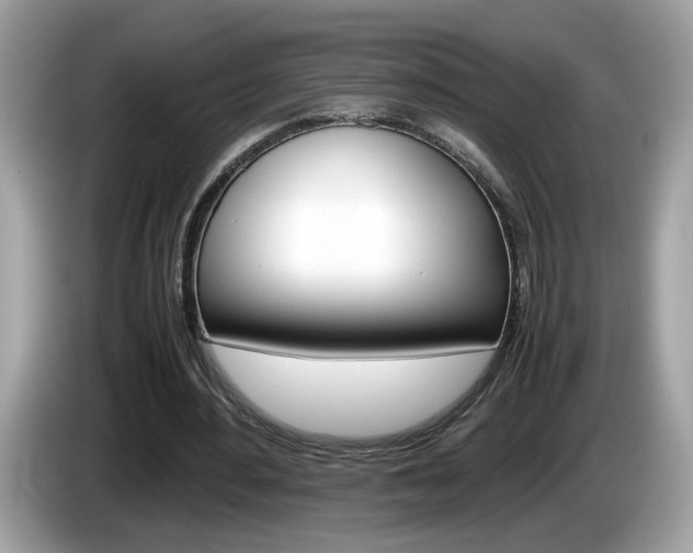 X0000086240484200703291008