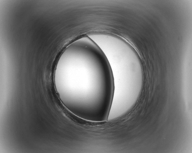 X0000086240485200703291008