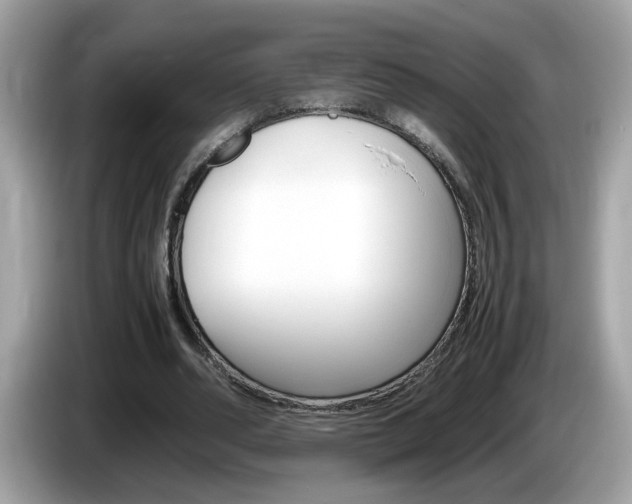 X0000086240486200703291008