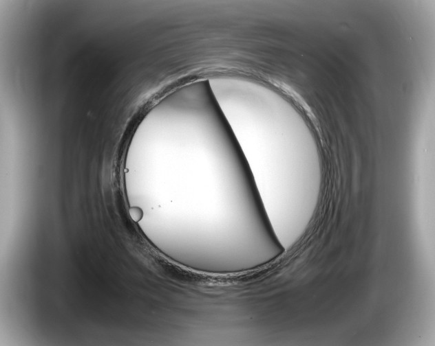 X0000086240487200703291008