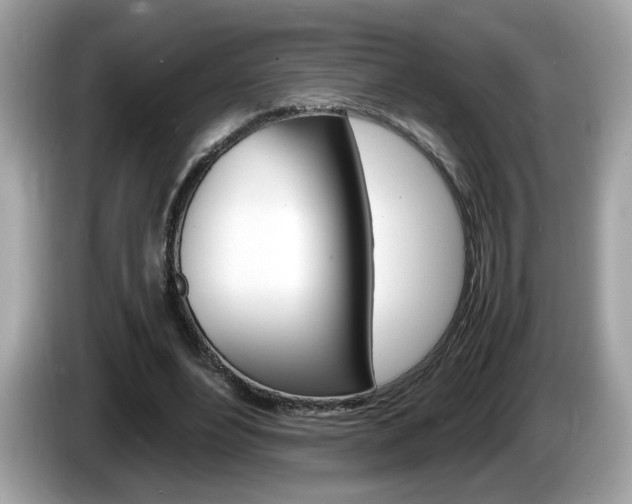 X0000086240488200703291008
