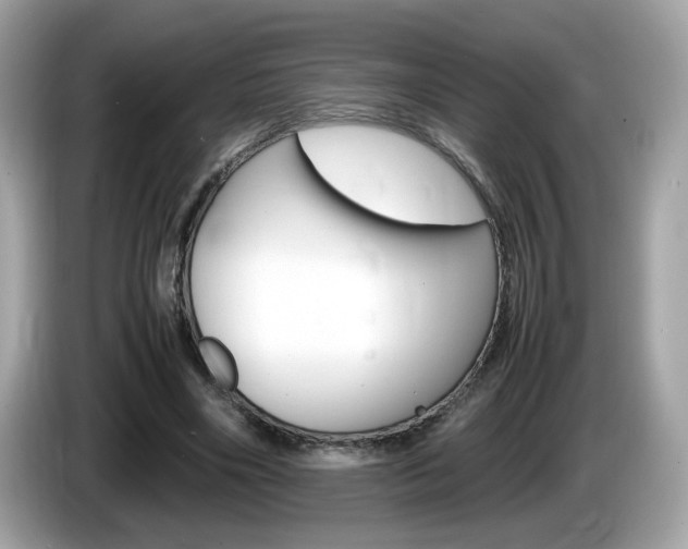 X0000086240490200703291008