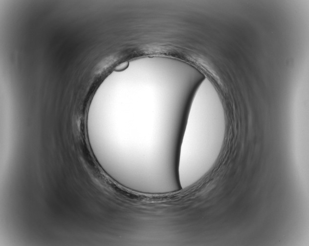 X0000086240491200703291008