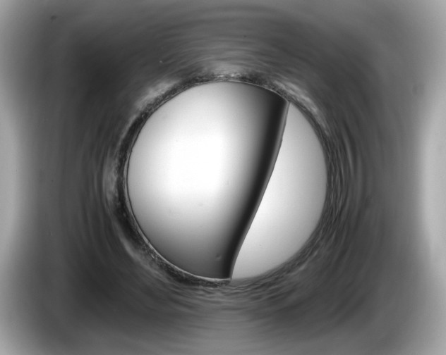 X0000086240492200703291008