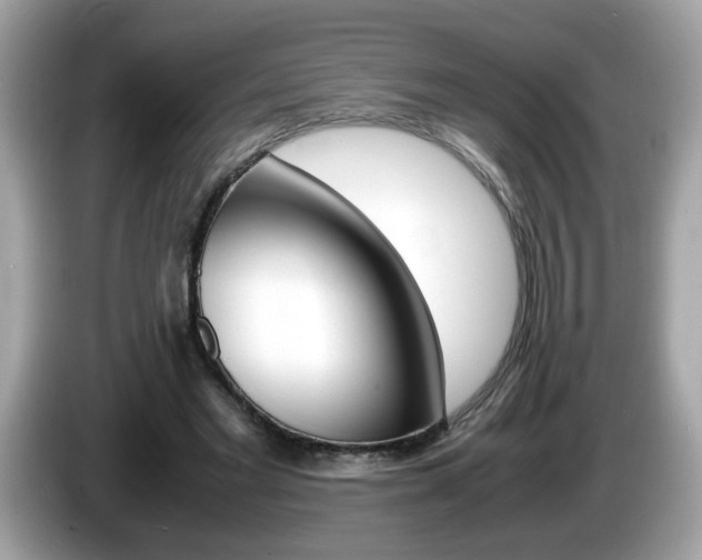 X0000086240493200703291008