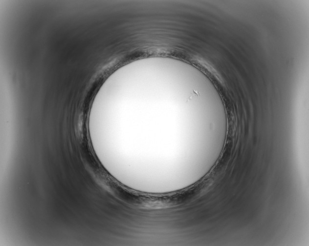 X0000086240494200703291008