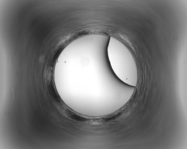 X0000086240495200703291008
