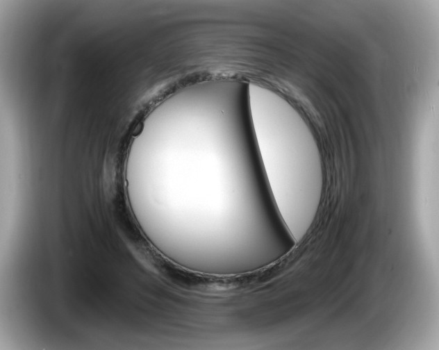 X0000086240496200703291008