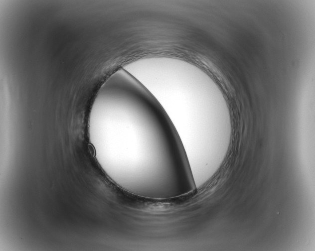 X0000086240497200703291008