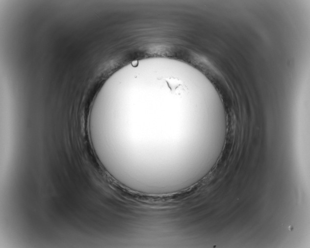 X0000086240502200703291008