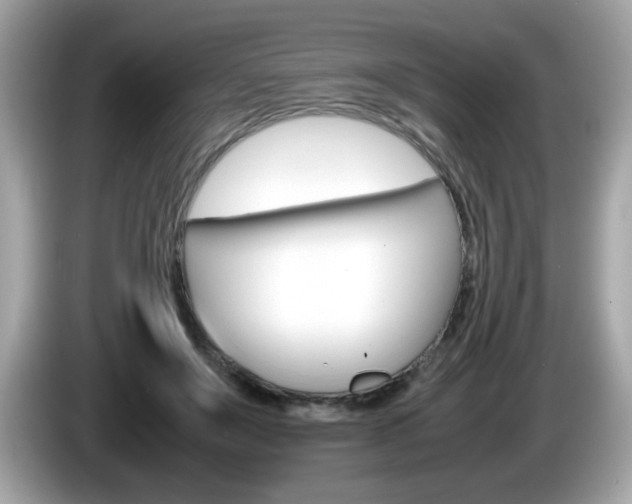 X0000086240503200703291008