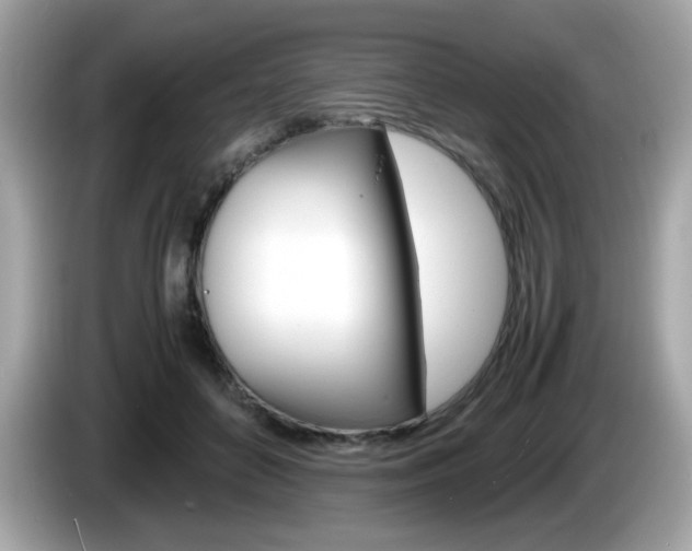 X0000086240504200703291008