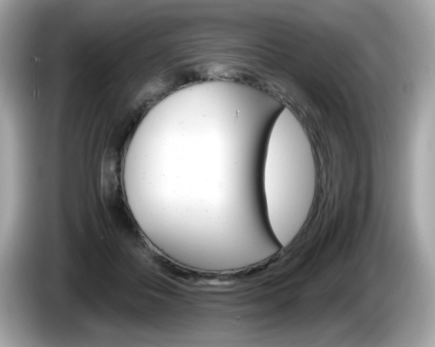 X0000086240506200703291008