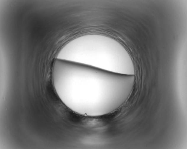 X0000086240507200703291008