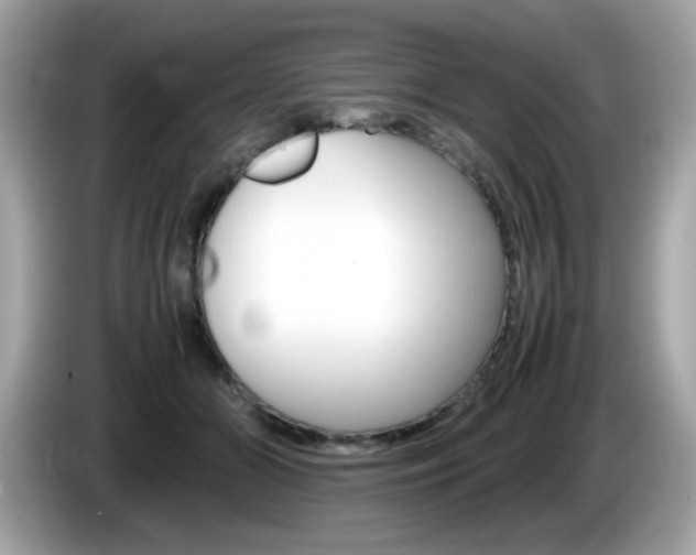 X0000086240510200703291008