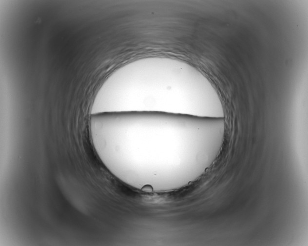 X0000086240511200703291008