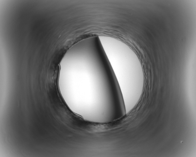X0000086240513200703291008