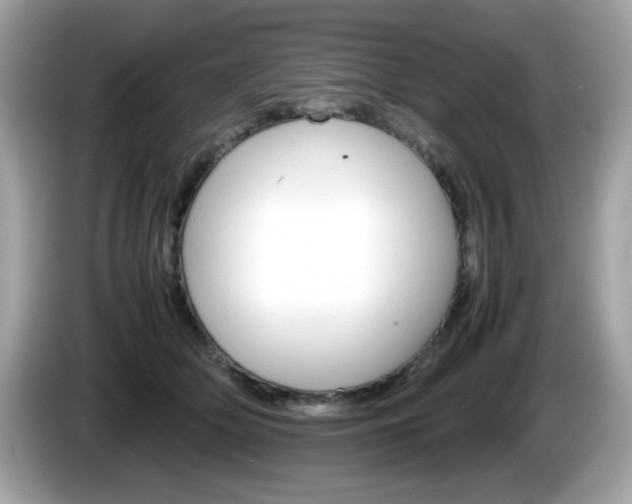 X0000086240514200703291008