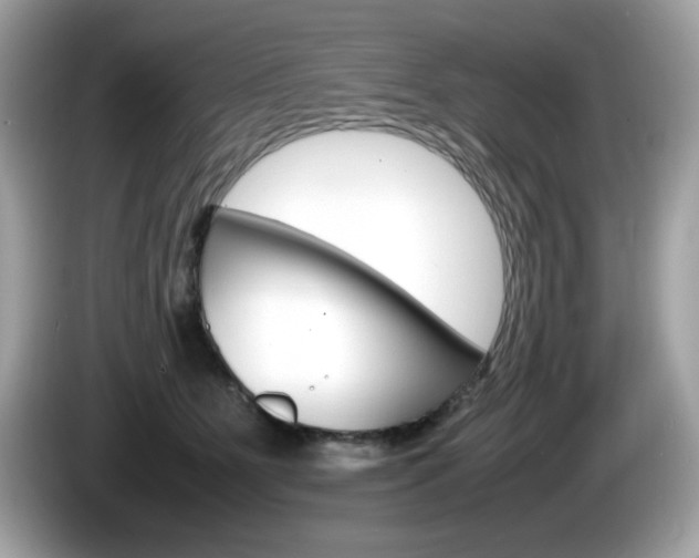X0000086240515200703291008