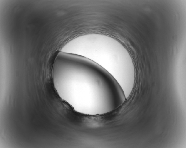 X0000086240517200703291008