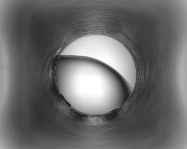 X0000086240520200703291008