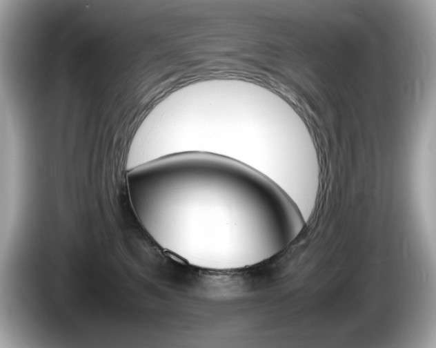 X0000086240521200703291008